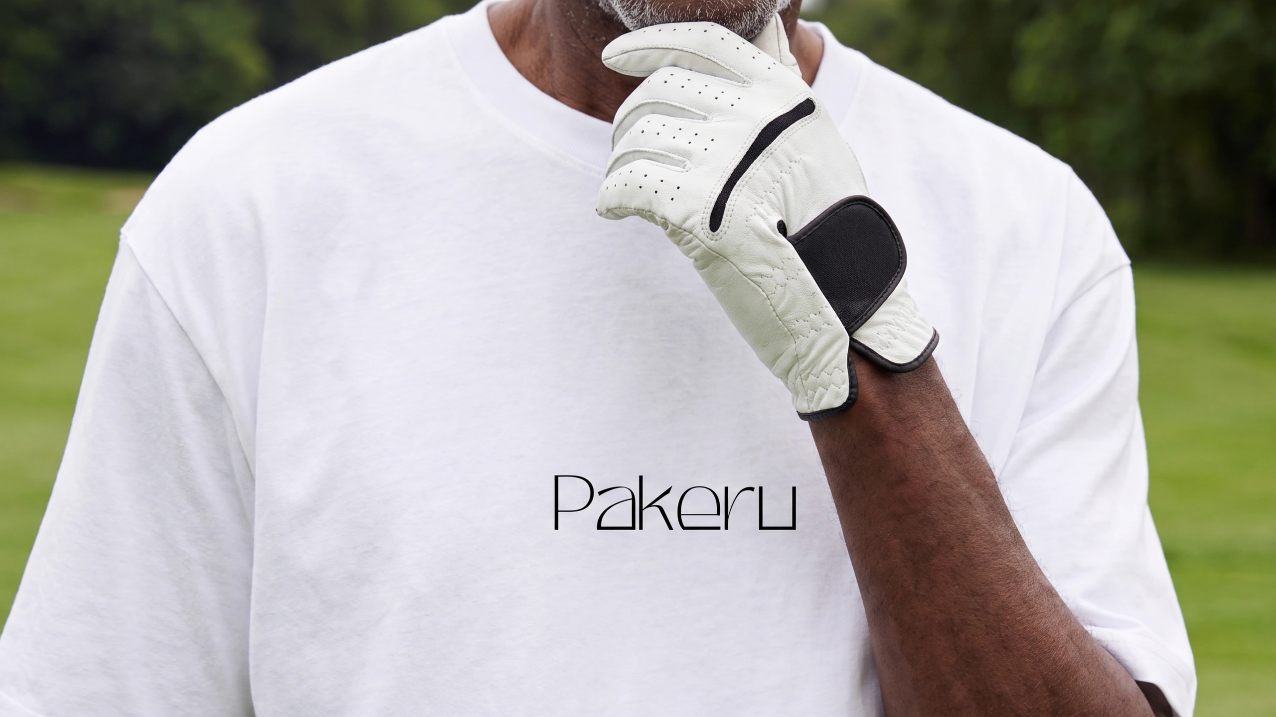 Pakeru Desktop Hero
